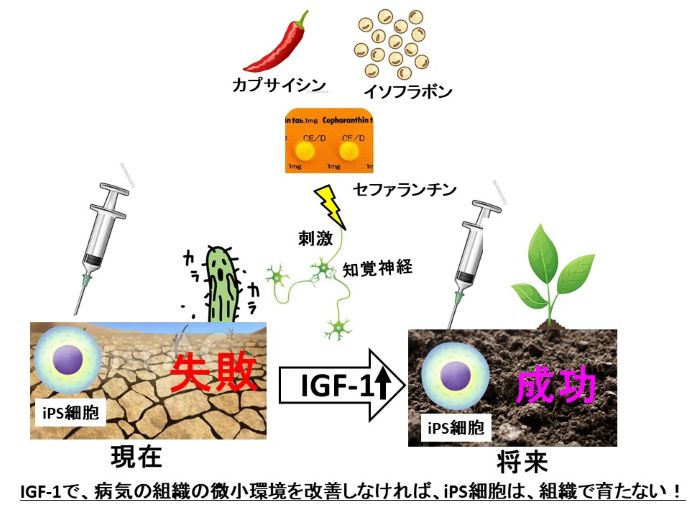 円形脱毛症　病院